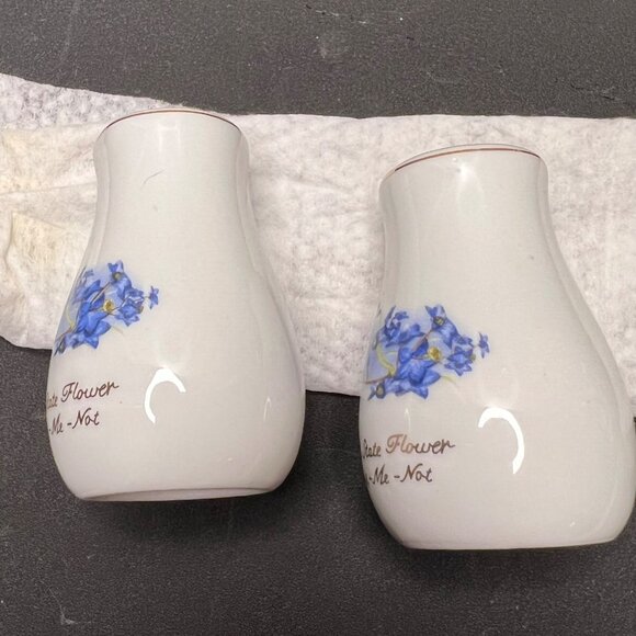 Vintage Alaska State Flower Forget-Me-Not Porcelain Salt & Pepper Shakers - Picture 2 of 10